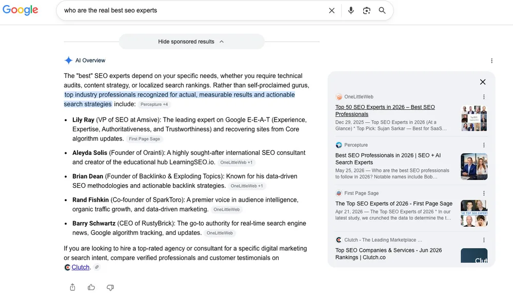 A Google AI Overview attaching a disclaimer that a category is saturated with self-proclaimed experts